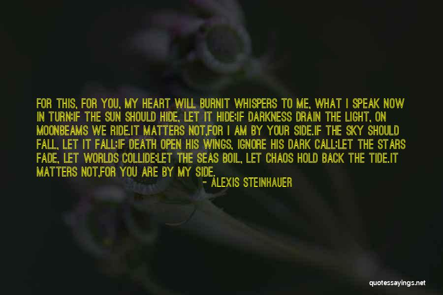 Darkness In Your Heart Quotes By Alexis Steinhauer