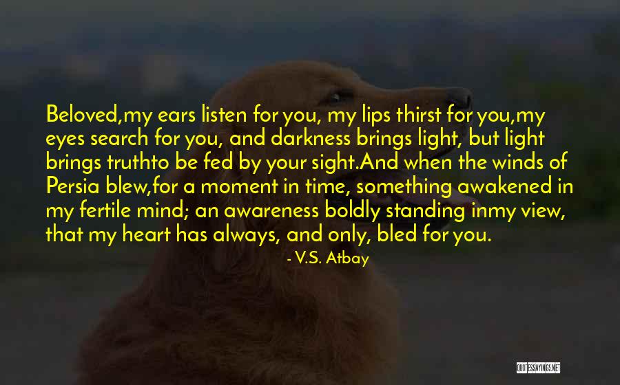 Darkness In Your Heart Quotes By V.S. Atbay