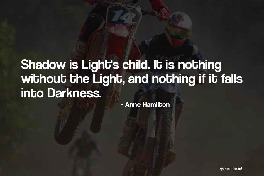 Darkness Into Light Quotes By Anne Hamilton