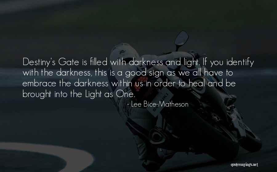 Darkness Into Light Quotes By Lee Bice-Matheson