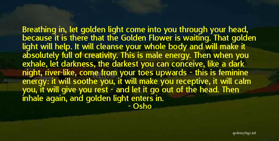 Darkness Into Light Quotes By Osho