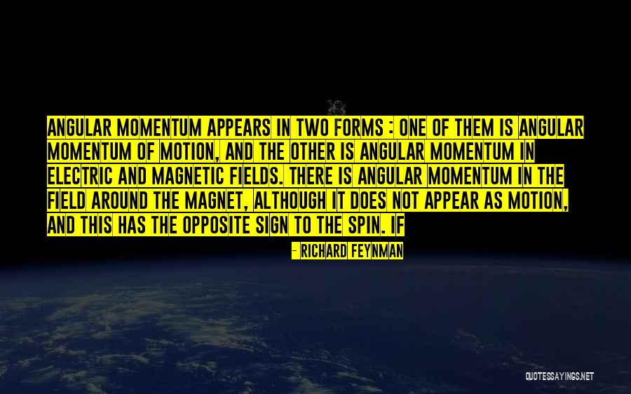 Darkness Jackie Quotes By Richard Feynman Darkness Jackie Quotes By Richard Feynman