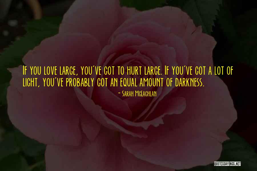 Darkness Love Quotes By Sarah McLachlan