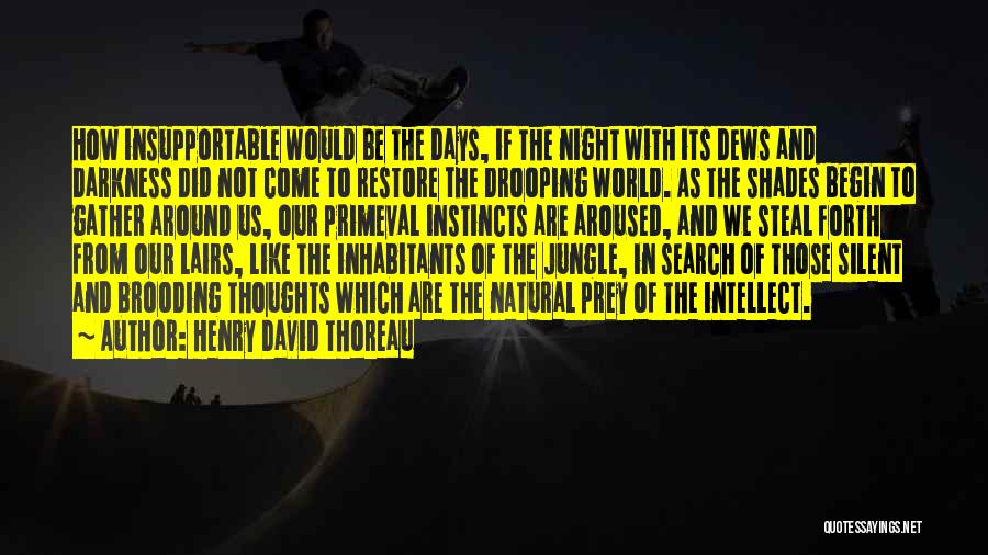 Darkness Of The Night Quotes By Henry David Thoreau