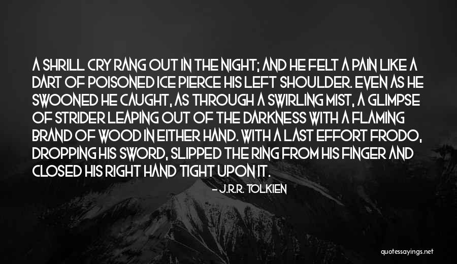 Darkness Of The Night Quotes By J.R.R. Tolkien