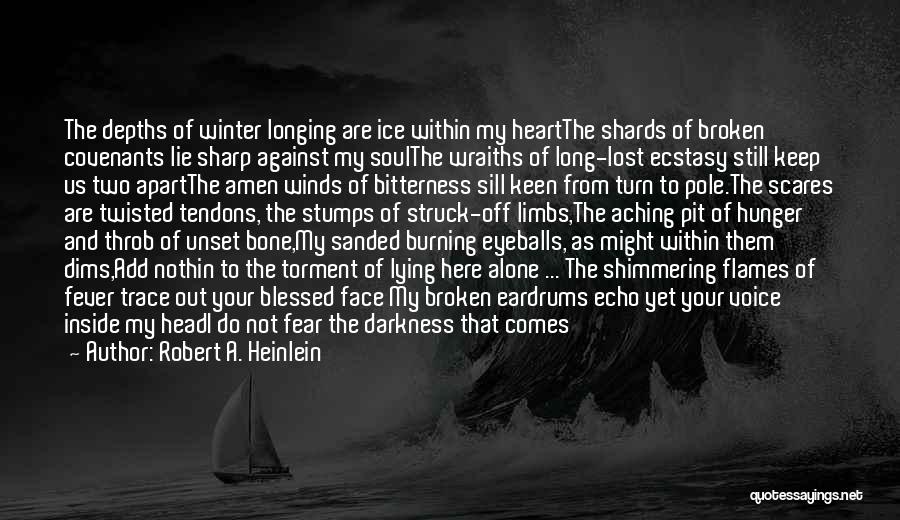 Darkness Within Us Quotes By Robert A. Heinlein