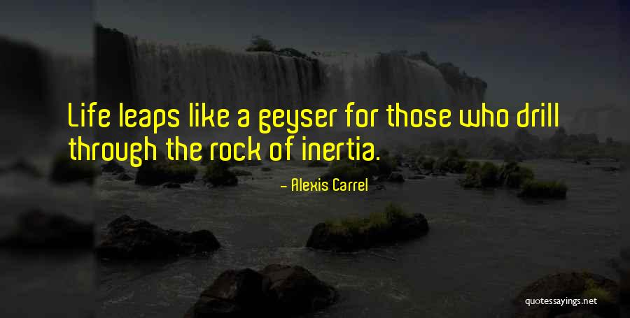 Darkrose Studios Quotes By Alexis Carrel Darkrose Studios Quotes By Alexis Carrel