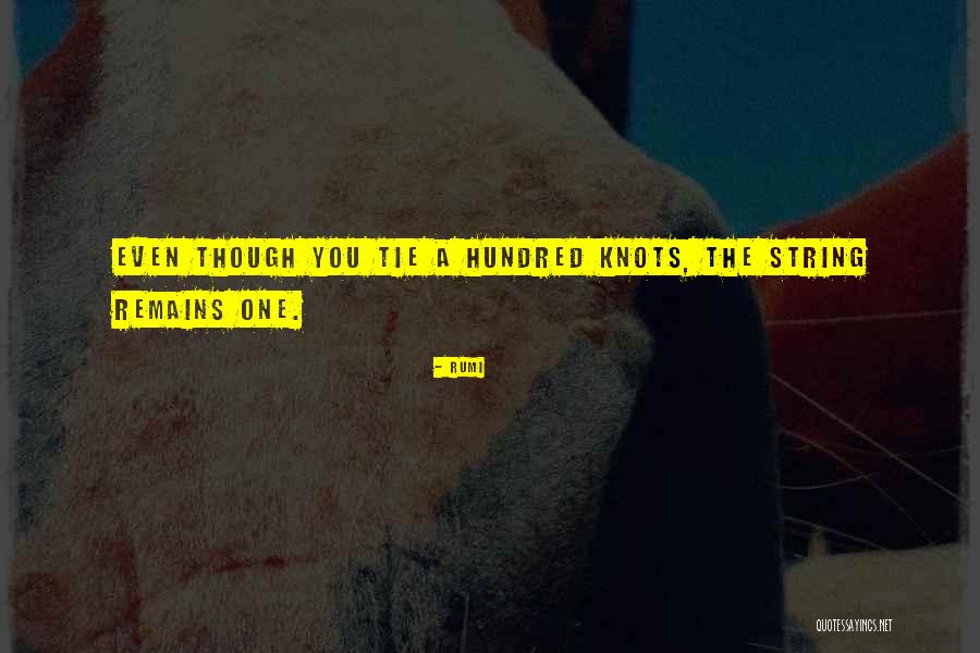 Darlene Clark Hine Quotes By Rumi Darlene Clark Hine Quotes By Rumi