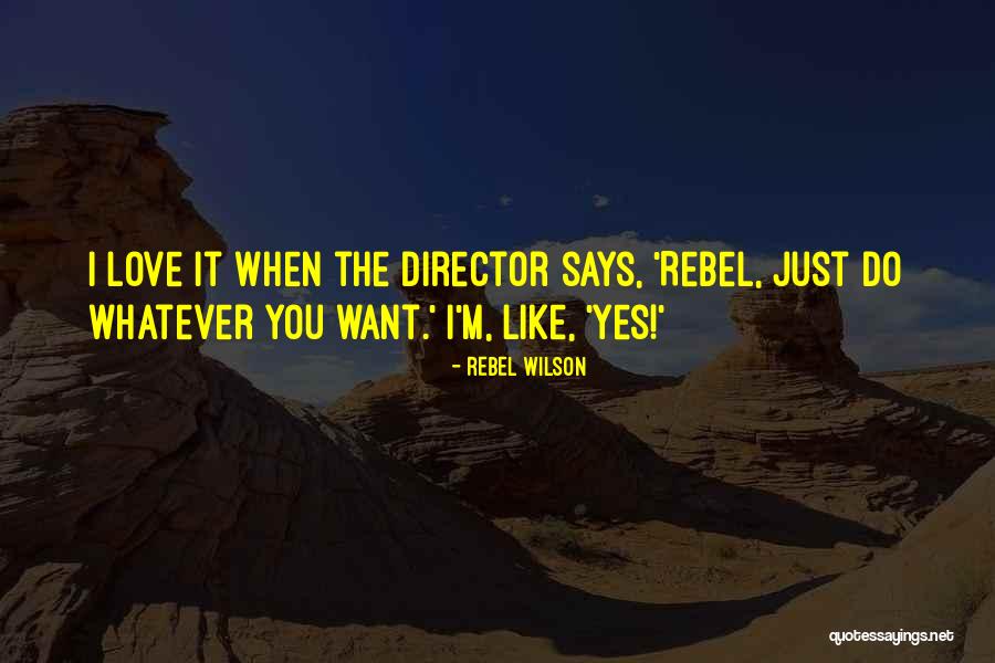 Darmody Mcdonalds Quotes By Rebel Wilson Darmody Mcdonalds Quotes By Rebel Wilson