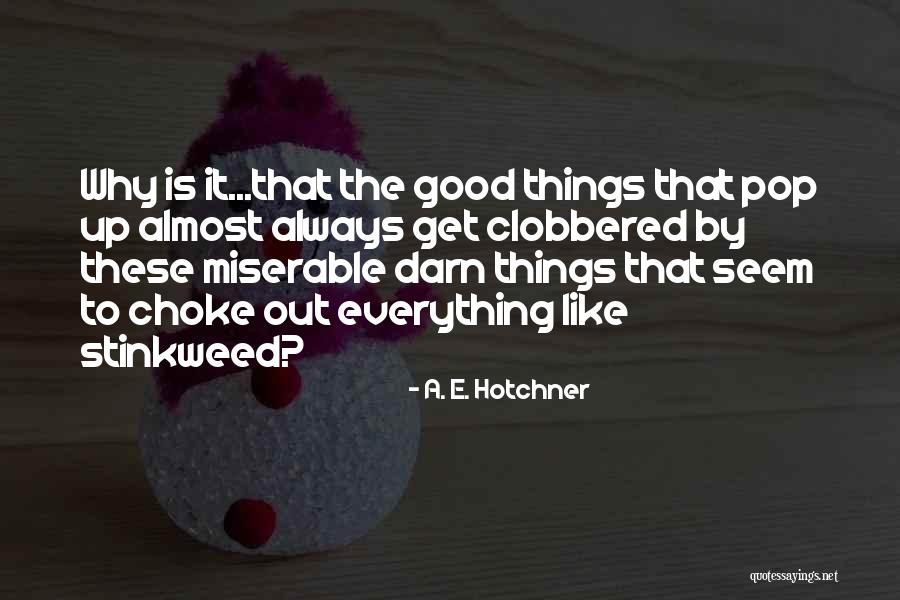 Darn It Quotes By A. E. Hotchner Darn It Quotes By A. E. Hotchner