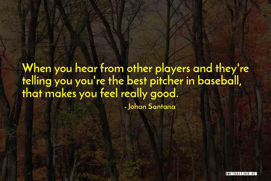 Darniche Rallye Quotes By Johan Santana Darniche Rallye Quotes By Johan Santana