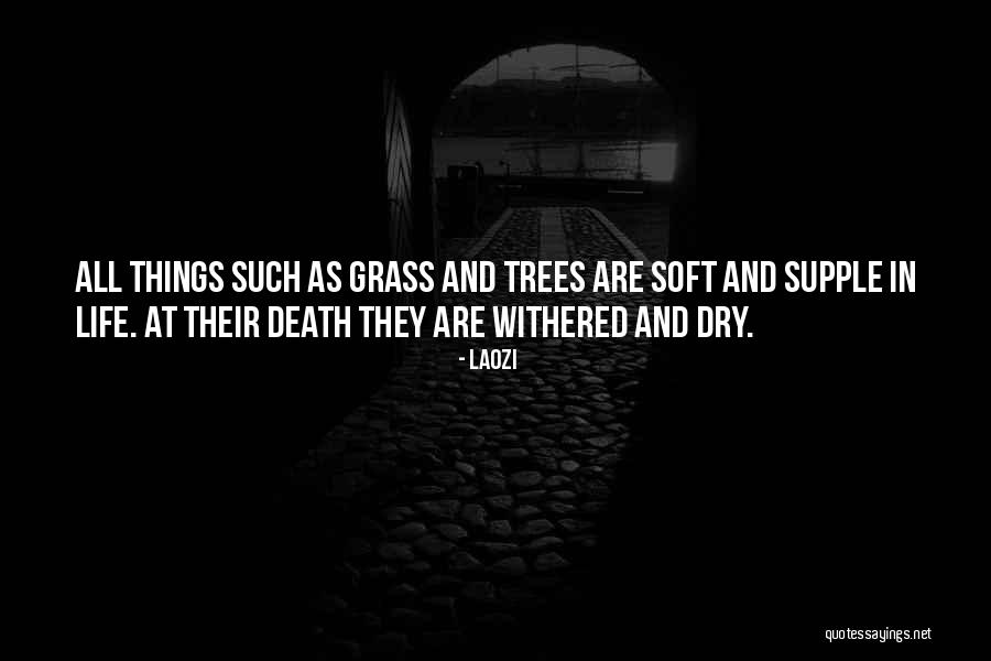 Darrells House Quotes By Laozi Darrells House Quotes By Laozi