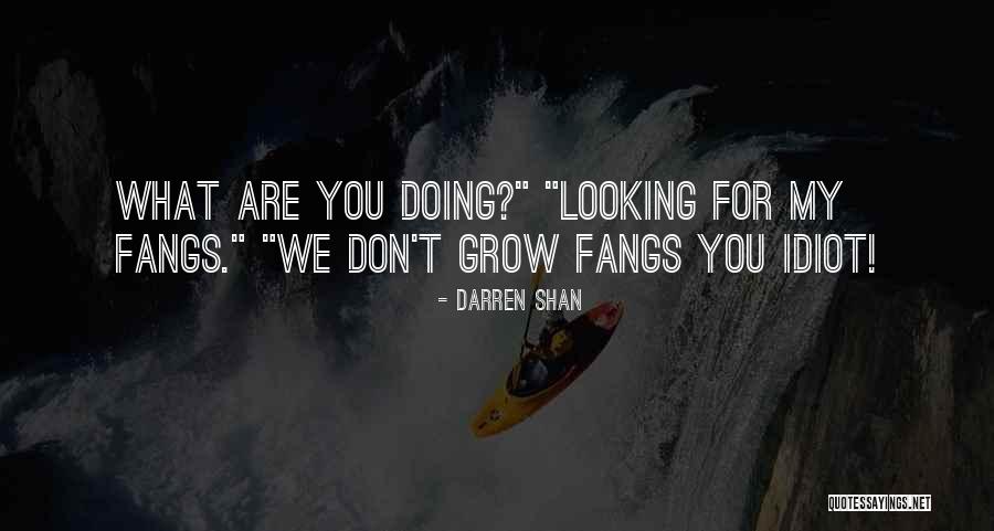 Darren Shan Quotes 1415329