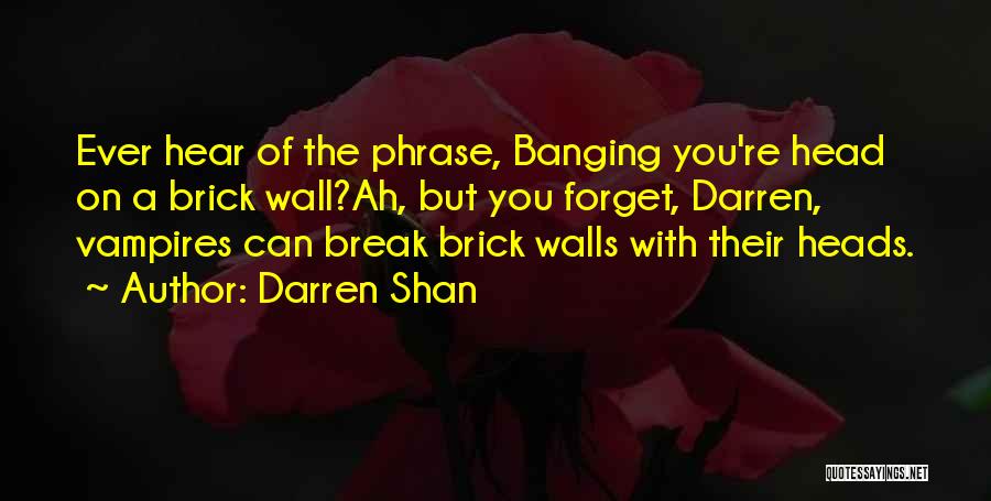 Darren Shan Quotes 1905604