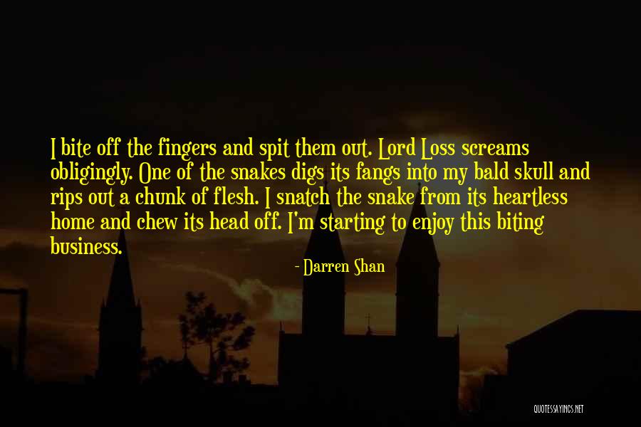 Darren Shan Quotes 479924