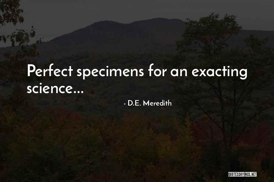 Darshan Singh Ji Maharaj Quotes By D.E. Meredith Darshan Singh Ji Maharaj Quotes By D.E. Meredith