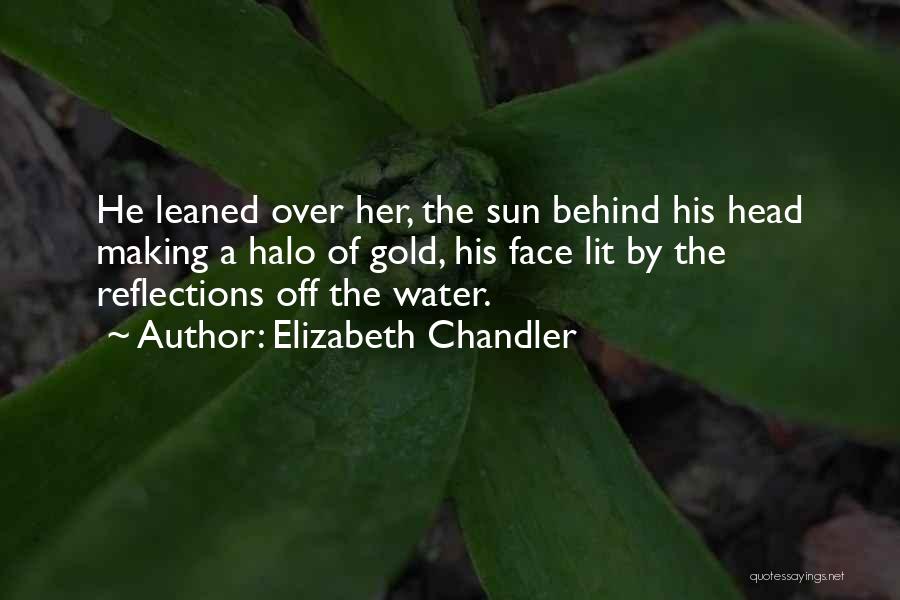 Darshanand Quotes By Elizabeth Chandler