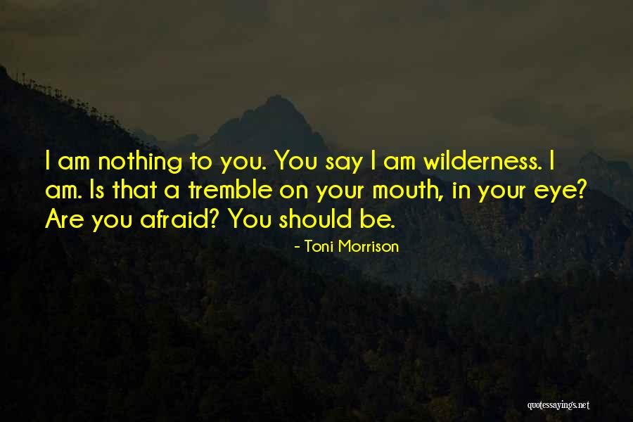 Darshani Gate Quotes By Toni Morrison Darshani Gate Quotes By Toni Morrison