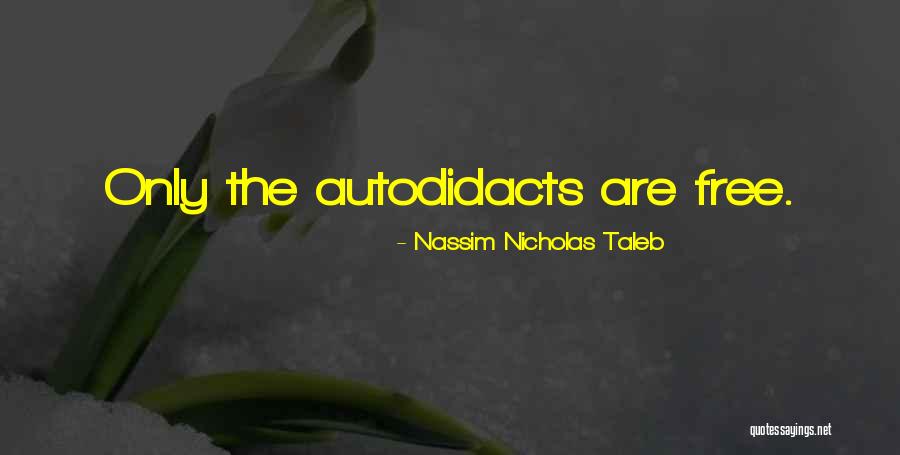 Dartboard Cabinet Quotes By Nassim Nicholas Taleb