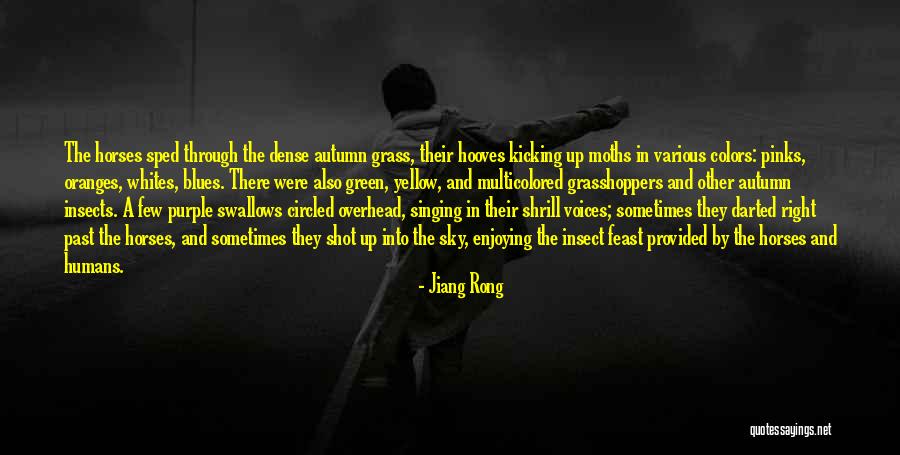 Darted Quotes By Jiang Rong Darted Quotes By Jiang Rong