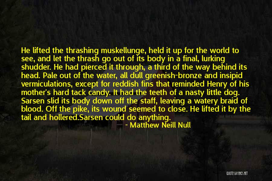 Dartiguenave Montez Quotes By Matthew Neill Null Dartiguenave Montez Quotes By Matthew Neill Null