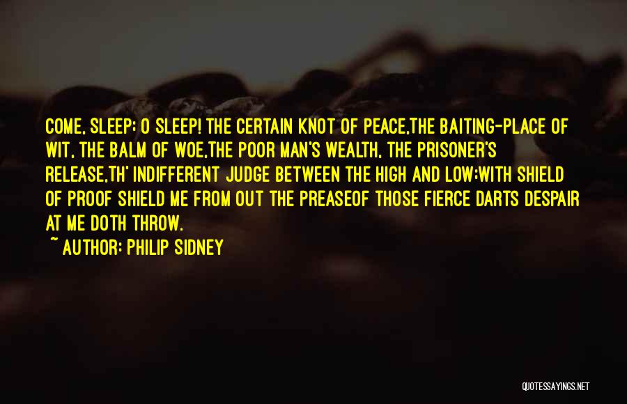 Darts Quotes By Philip Sidney