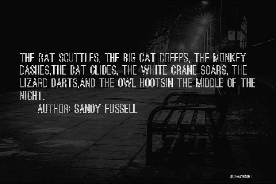 Darts Quotes By Sandy Fussell
