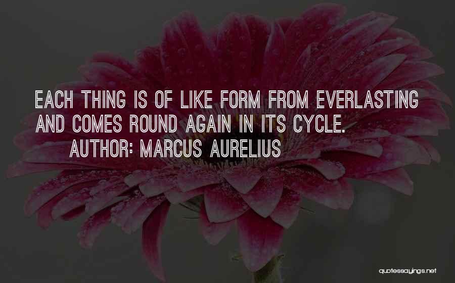 Daruri Pentru Quotes By Marcus Aurelius
