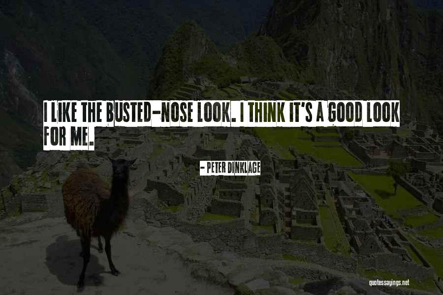 Darussalam Books Quotes By Peter Dinklage