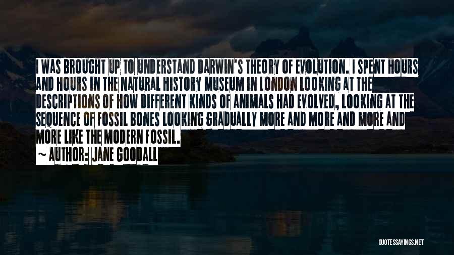 Darwin Evolution Theory Quotes By Jane Goodall