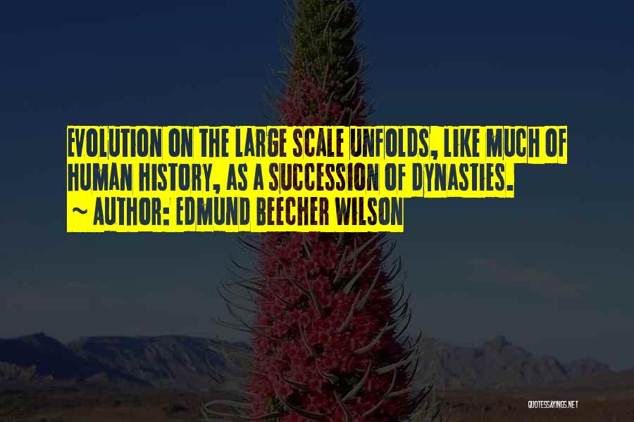 Darwin Human Evolution Quotes By Edmund Beecher Wilson