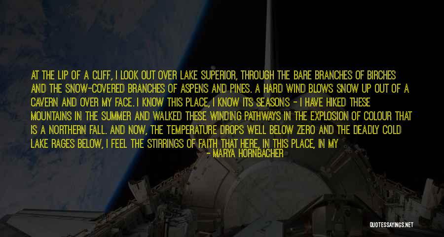 Darwinia Game Quotes By Marya Hornbacher Darwinia Game Quotes By Marya Hornbacher