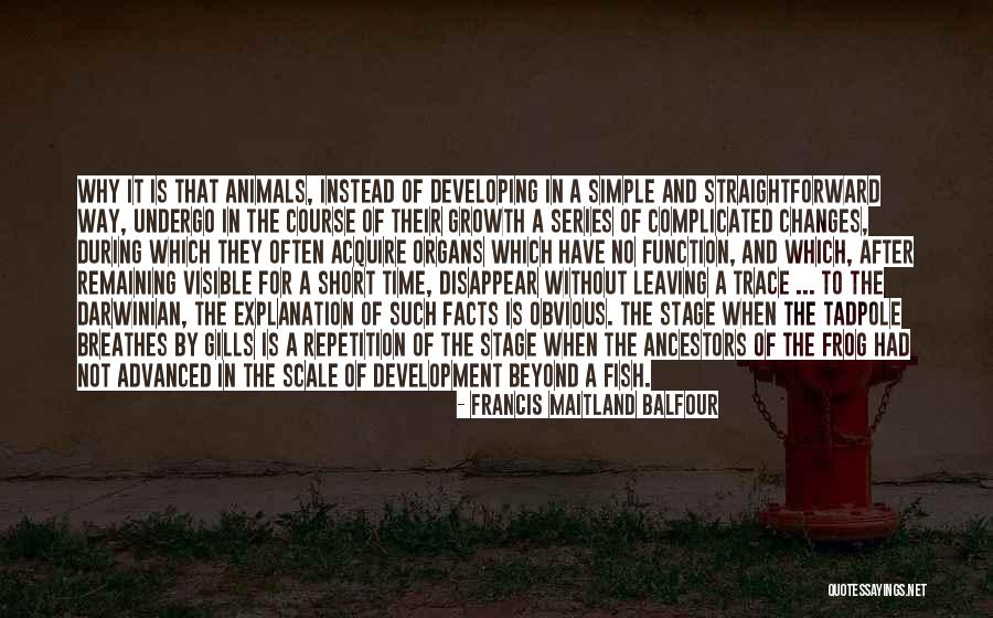 Darwinian Quotes By Francis Maitland Balfour Darwinian Quotes By Francis Maitland Balfour