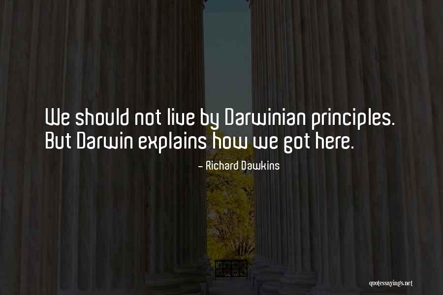 Darwinian Quotes By Richard Dawkins Darwinian Quotes By Richard Dawkins