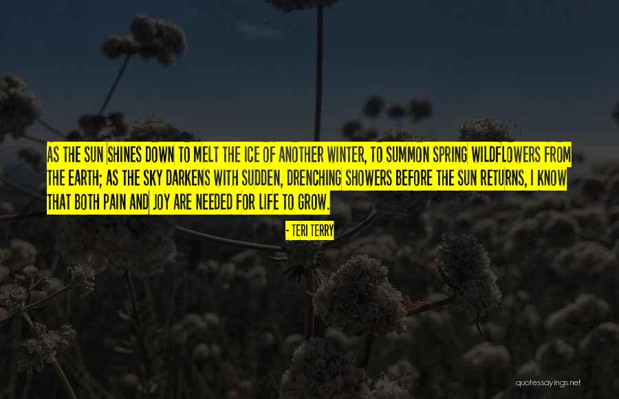 Darzionline Quotes By Teri Terry Darzionline Quotes By Teri Terry