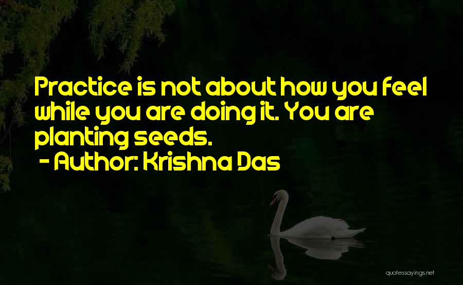 Das It Quotes By Krishna Das