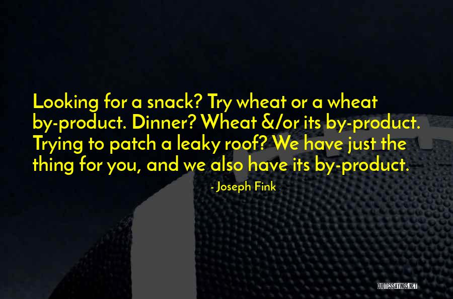 Dascalu Lucian Quotes By Joseph Fink