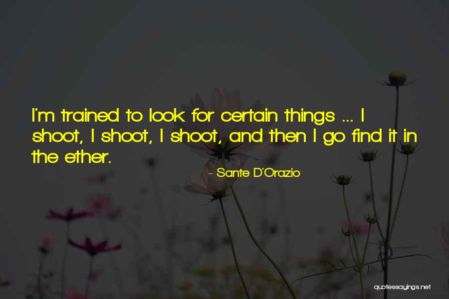 Dascanio Law Quotes By Sante D'Orazio Dascanio Law Quotes By Sante D'Orazio