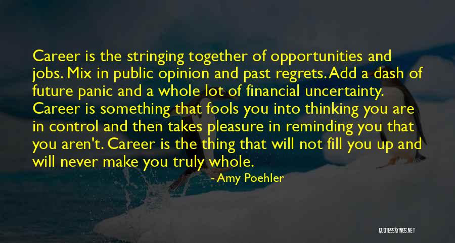Dash In Quotes By Amy Poehler Dash In Quotes By Amy Poehler