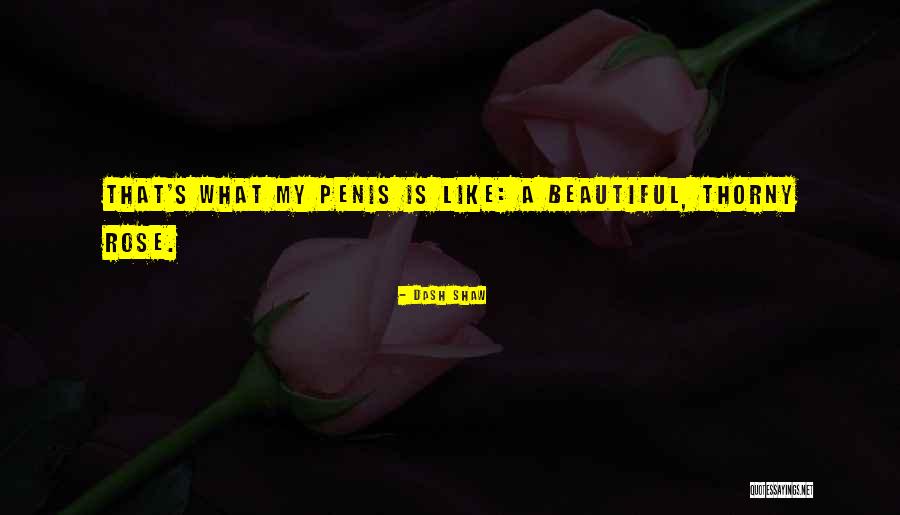 Dash Shaw Quotes 2203257 Dash Shaw Quotes 2203257