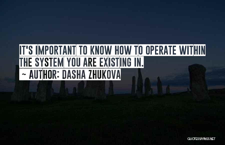Dasha Zhukova Quotes 1041391