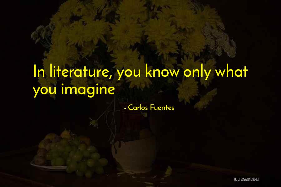 Dashboard Confessional Love Quotes By Carlos Fuentes Dashboard Confessional Love Quotes By Carlos Fuentes