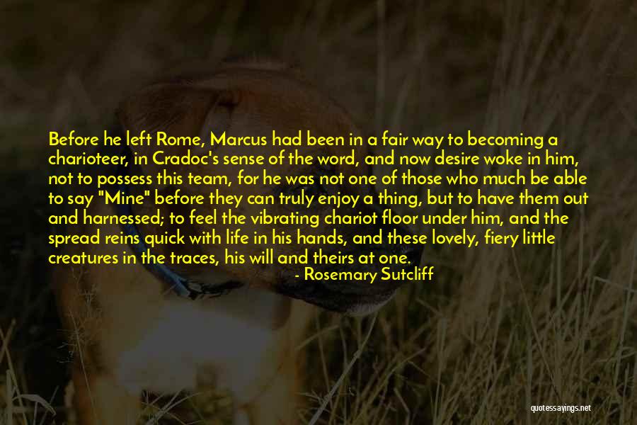 Dashdel Quotes By Rosemary Sutcliff Dashdel Quotes By Rosemary Sutcliff