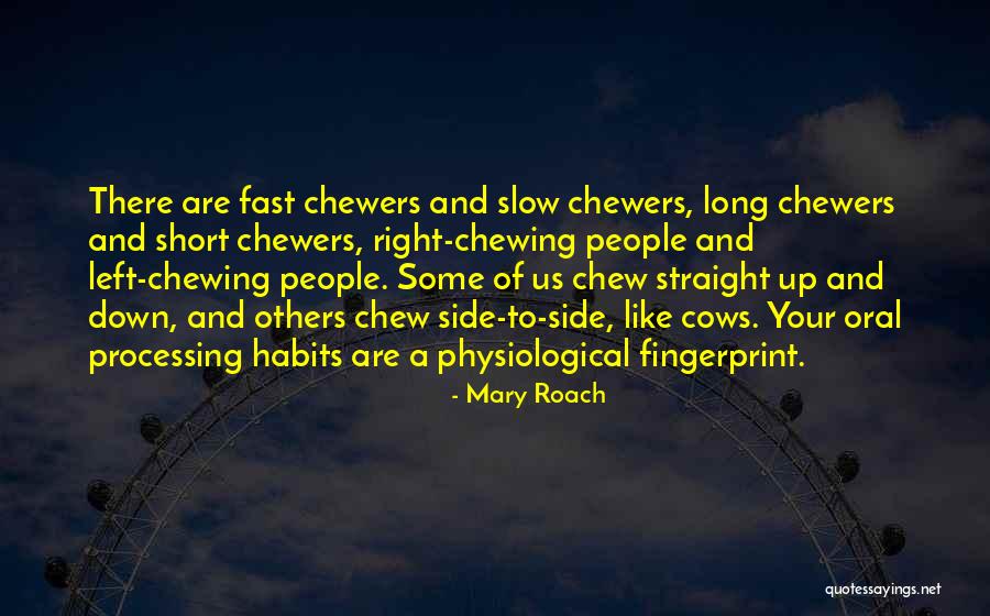 Dastoli Digital Quotes By Mary Roach Dastoli Digital Quotes By Mary Roach