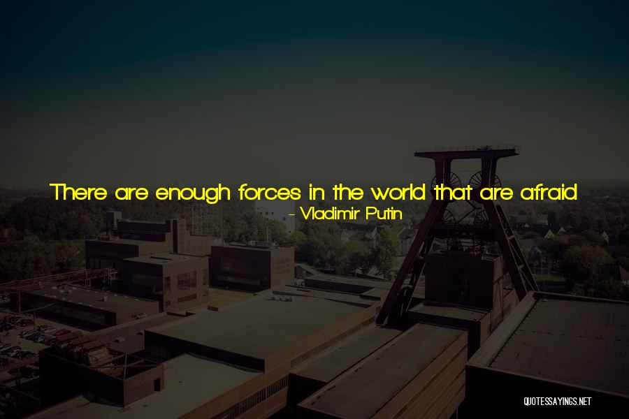 Dasypus Bellus Quotes By Vladimir Putin Dasypus Bellus Quotes By Vladimir Putin