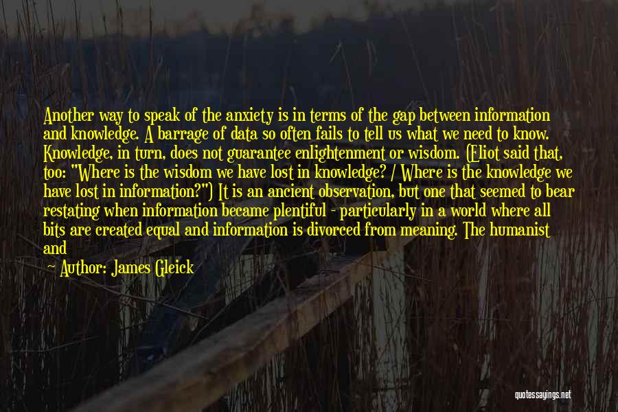 Data Information Knowledge Wisdom Quotes By James Gleick