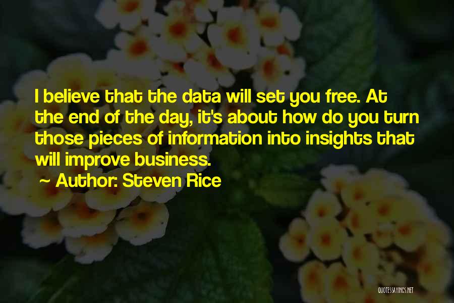 Data Insights Quotes By Steven Rice