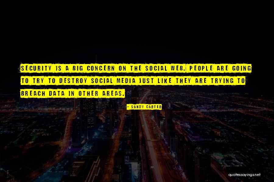 Data Security Quotes By Sandy Carter Data Security Quotes By Sandy Carter