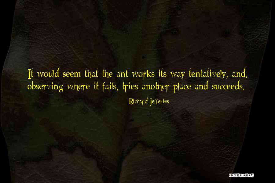 Database Free Quotes By Richard Jefferies