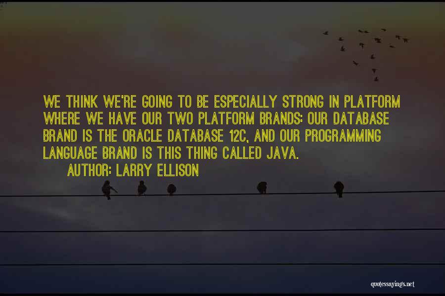 Database Quotes By Larry Ellison